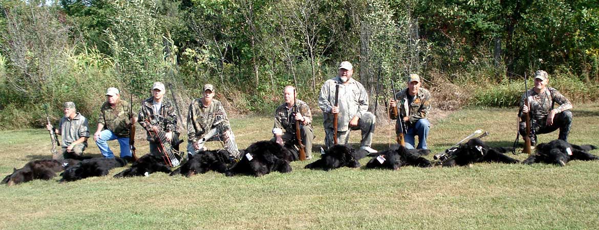 Our first-rate guides have extensive experience and expertise in both hunting bear and guiding hunts