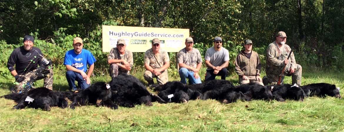 Our first-rate guides have extensive experience and expertise in both hunting bear and guiding hunts