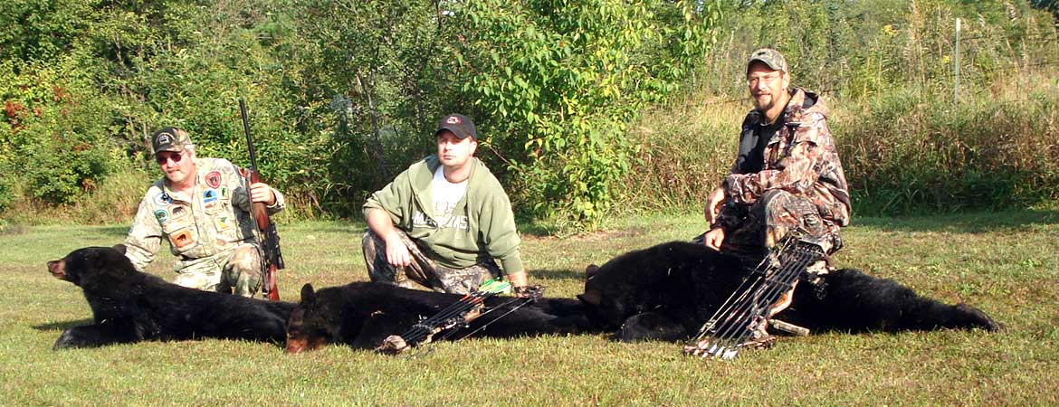 Our first-rate guides have extensive experience and expertise in both hunting bear and guiding hunts